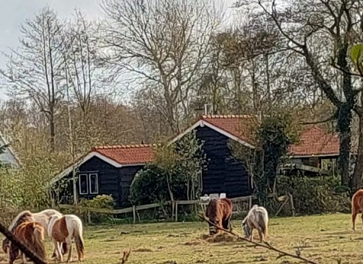 Charmant vakantiehuis De Trekvogels in Formerum, Terschelling met zonnig terras en groene omgeving.