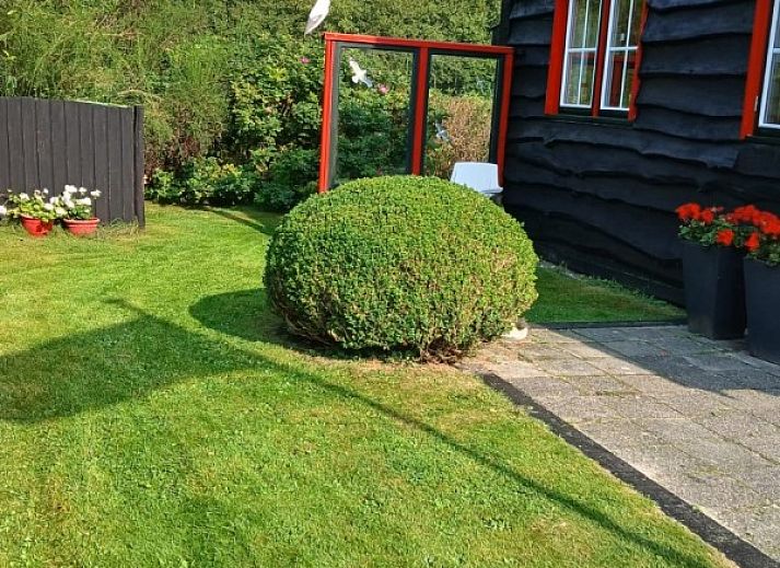 Charmant vakantiehuis De Trekvogels in Formerum, Terschelling met zonnig terras en groene omgeving.