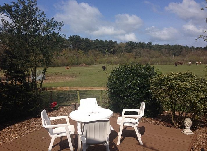 Natuurrijke omgeving bij De Trekvogels, vakantiehuis in Formerum, Terschelling met grazende paarden.