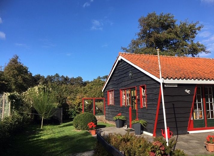 Natuurrijke omgeving bij De Trekvogels, vakantiehuis in Formerum, Terschelling met grazende paarden.