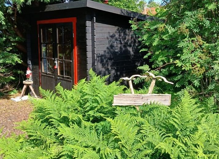 Natuurrijke omgeving bij De Trekvogels, vakantiehuis in Formerum, Terschelling met grazende paarden.