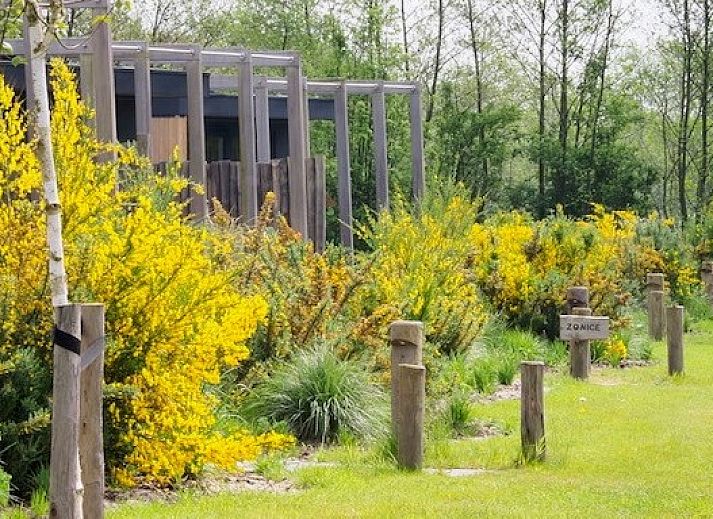 ZONICE chalet in Formerum, Terschelling met moderne uitstraling en terras in groene omgeving.