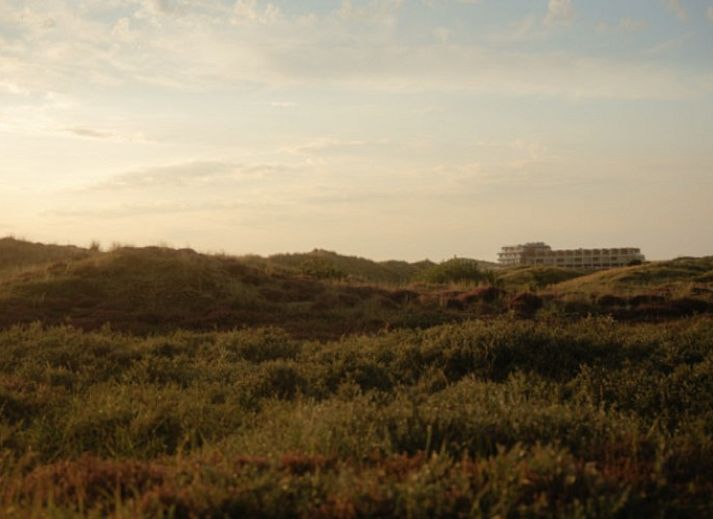 Elements appartement in Formerum, Terschelling met uitzicht op de duinen en zee, Waddeneilanden.