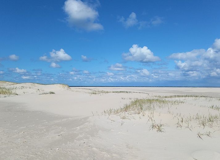 Unterkunft 030401 - Appartement Terschelling - Heestervin