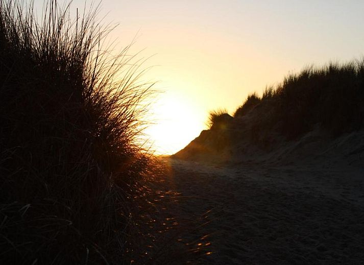 Unterkunft 030414 - Appartement Ameland - Wijnberg Appartementen