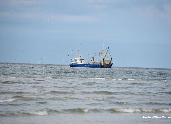 Verblijf 030427 - Appartement Ameland - Appartement Tjerk