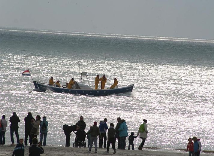 Verblijf 030427 - Appartement Ameland - Appartement Tjerk