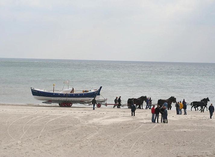 Verblijf 030427 - Appartement Ameland - Appartement Tjerk