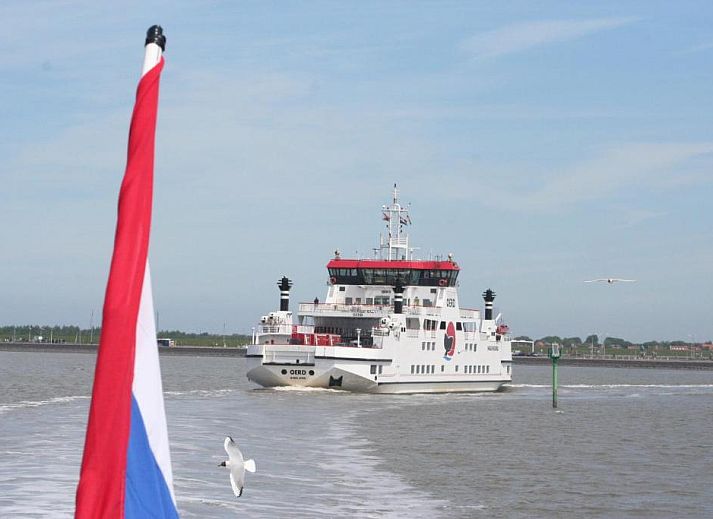 Verblijf 030427 - Appartement Ameland - Appartement Tjerk