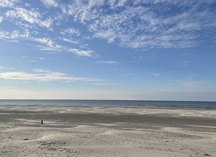Guest house 030443 - Chalet Terschelling - Wolkenpracht