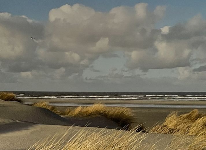 Guest house 030443 - Chalet Terschelling - Wolkenpracht