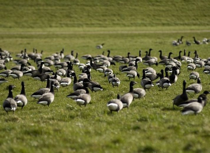 Lichte woonkamer in Aike van Rel appartement, Hoorn, Terschelling met kleurrijk schilderij.