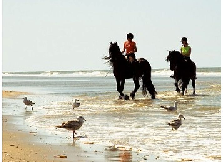 Gezellige open keuken en eetruimte in Aike van Rel vakantiehuis, Hoorn, Terschelling.