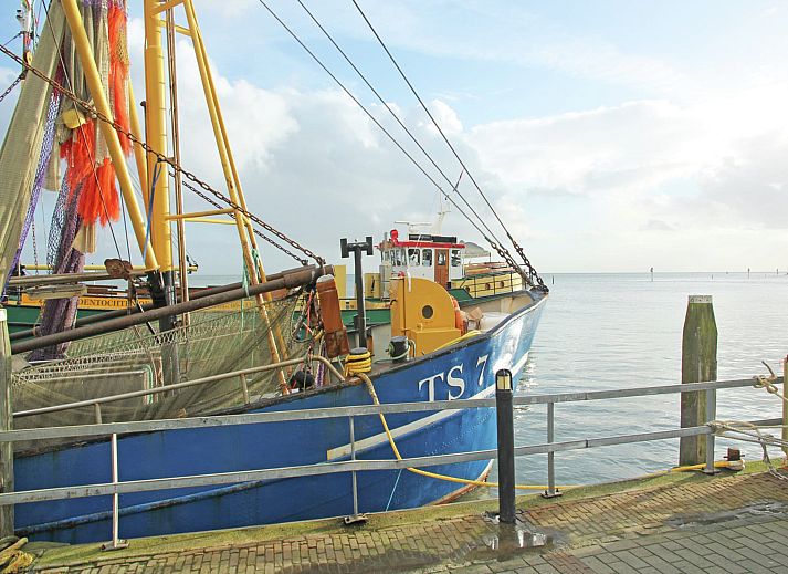 Unterkunft 030904 - Ferienhaus Terschelling - Duindroom op Terschelling