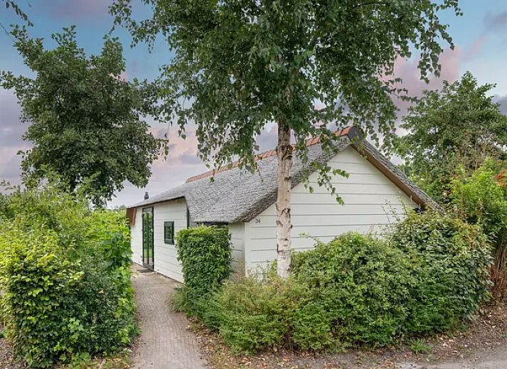 Guest house 030917 - Bungalow Terschelling - Schuttersbos | 2-4-persoons cottage | 2-4B