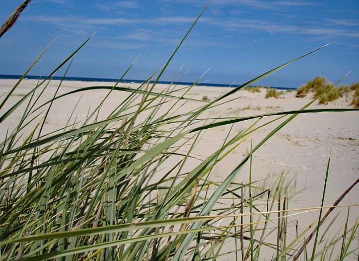 Modern dining area in Apartment Jelle, Oosterend, Terschelling, perfect for a relaxed meal.