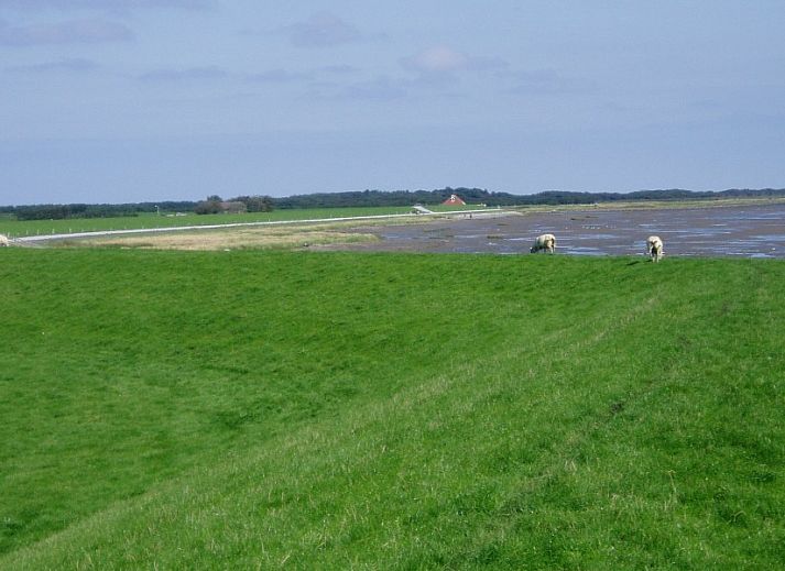 Bright living room of Apartment Jelle, Oosterend, Terschelling with comfortable seating.