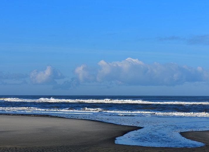 Stylish kitchen of Apartment Jelle, Oosterend, Terschelling with modern appliances.