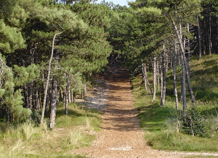 Stylish kitchen of Apartment Jelle, Oosterend, Terschelling with modern appliances.