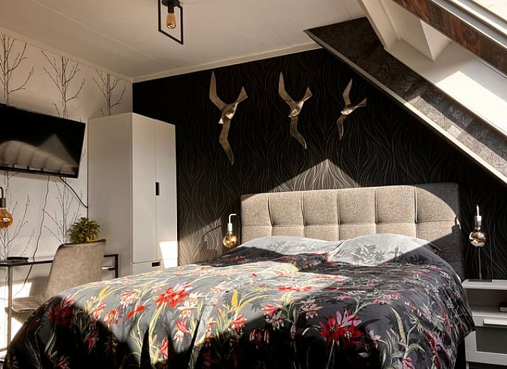 Guest house 031017 • Holiday property Terschelling • Vakantiehuis in Oosterend Terschelling 