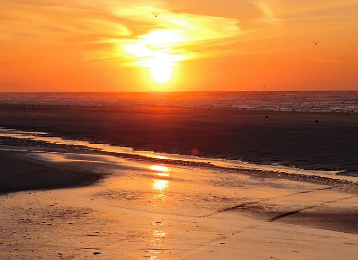 Helles Schlafzimmer mit Dachfenster im Ferienhaus in Oosterend, Terschelling, ideal fuer Naturliebhaber.
