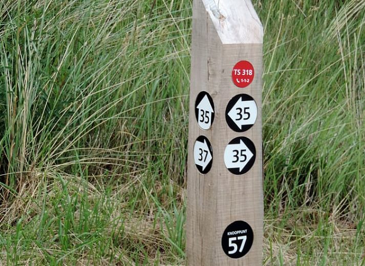 Gemuetliches Schlafzimmer mit farbenfroher Tapete im Ferienhaus in Oosterend, Terschelling, ideal zum Entspannen.
