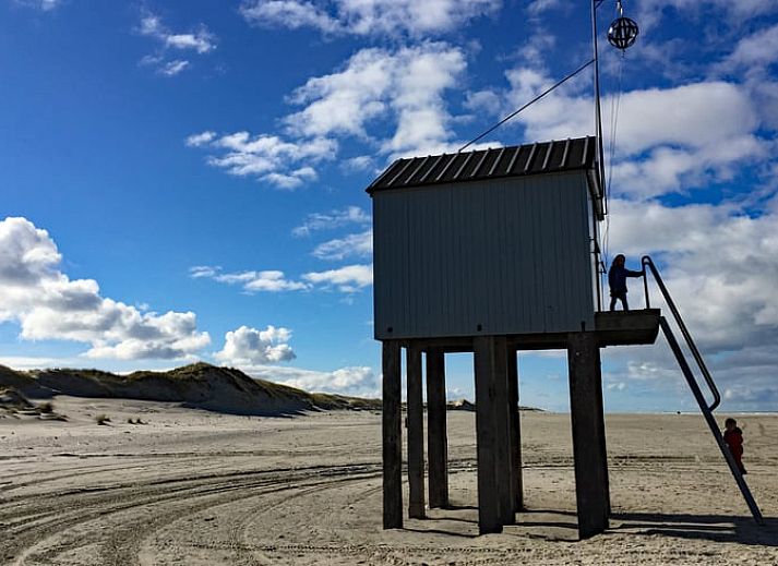 Gemuetliches Schlafzimmer mit farbenfroher Tapete im Ferienhaus in Oosterend, Terschelling, ideal zum Entspannen.