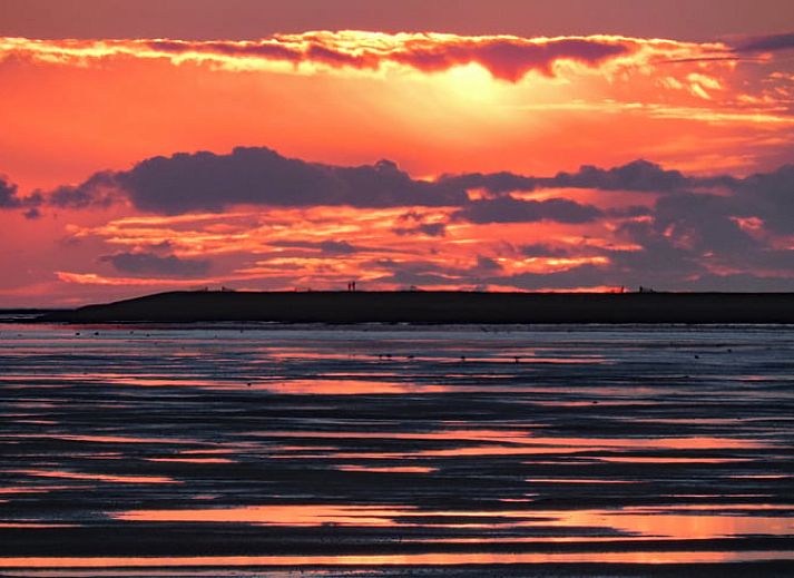 Schlafzimmer mit Holzakzenten im Ferienhaus in Oosterend, Terschelling, bietet eine laendliche Aussicht.