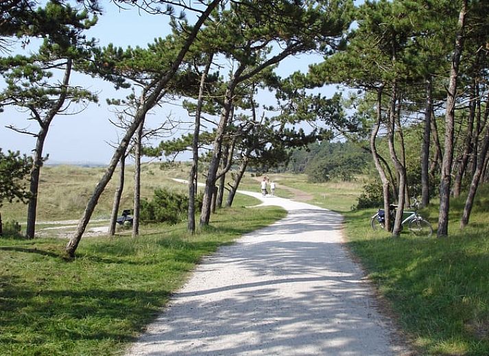 Stilvolles Wohnzimmer im Ferienhaus Cottage in Oosterend, Oosterend, Terschelling mit Zugang zur Terrasse.