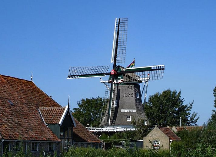 Stilvolles Wohnzimmer im Ferienhaus Cottage in Oosterend, Oosterend, Terschelling mit Zugang zur Terrasse.