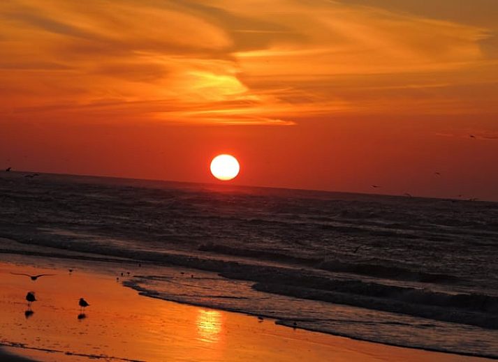 Stilvolles Wohnzimmer im Ferienhaus Cottage in Oosterend, Oosterend, Terschelling mit Zugang zur Terrasse.