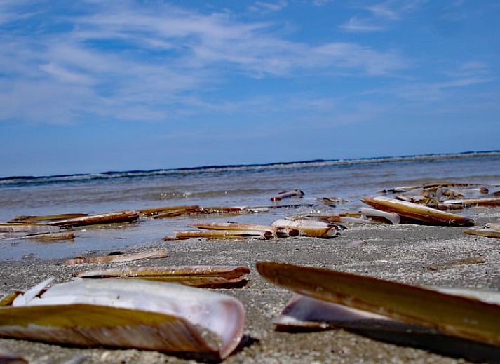 Moderne Kueche im Ferienhaus in Oosterend, Oosterend, Terschelling, komplett ausgestattet.
