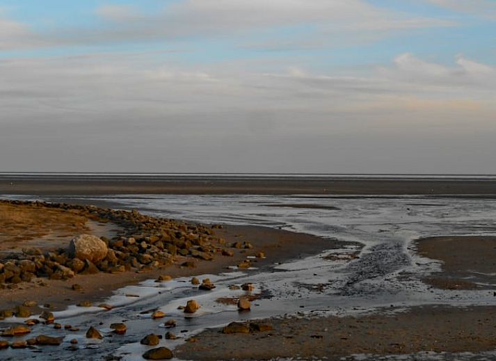 Moderne Kueche im Ferienhaus in Oosterend, Oosterend, Terschelling, komplett ausgestattet.