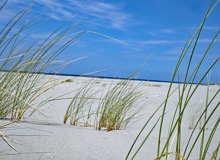 Gemuetliches Wohnzimmer im Ferienhaus in Oosterend, Terschelling mit bequemer Sitzecke.