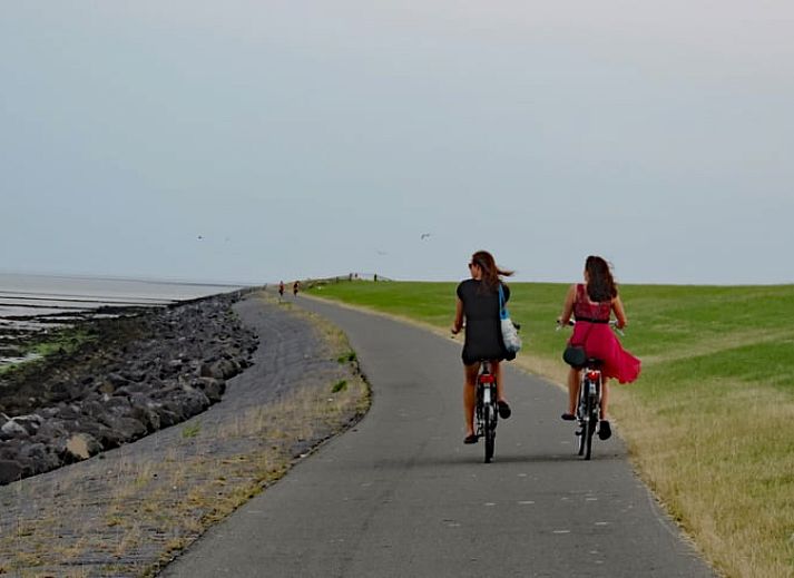 Gemuetliches Wohnzimmer im Ferienhaus in Oosterend, Terschelling mit bequemer Sitzecke.