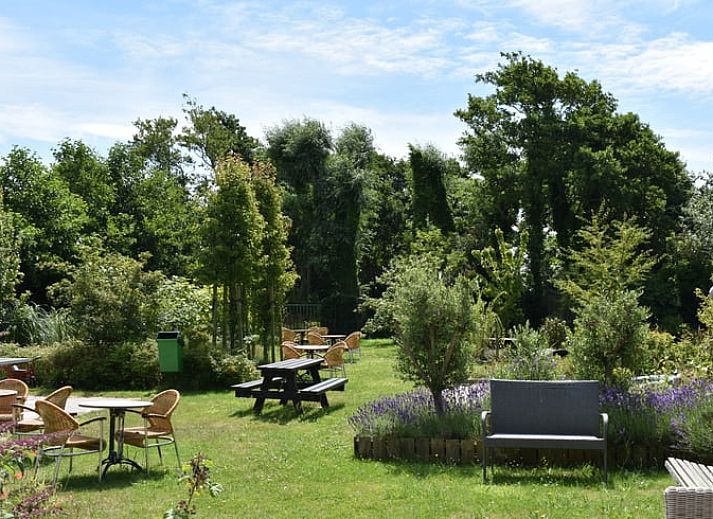 Gemuetliches Wohnzimmer im Ferienhaus in Oosterend, Terschelling, mit modernen Moebeln und Blick auf die Natur.