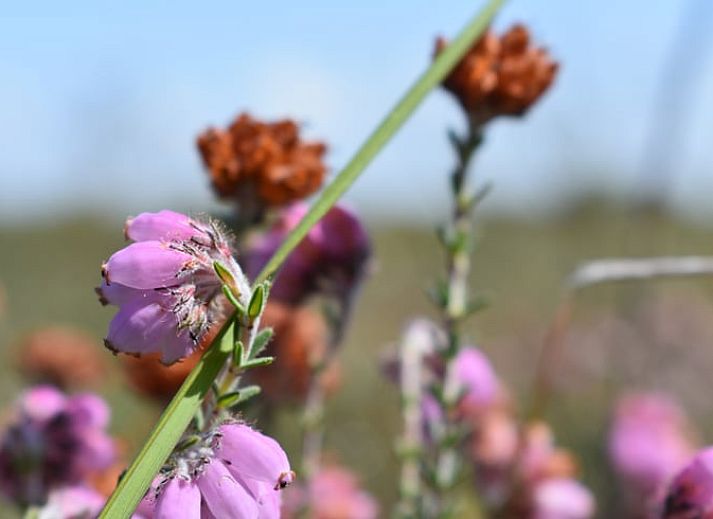 Essecke im Ferienhaus in Oosterend, Terschelling, mit rundem Tisch und Oberlichtern fuer natuerliches Licht.
