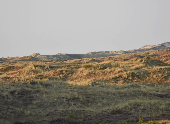 Essecke im Ferienhaus in Oosterend, Terschelling, mit rundem Tisch und Oberlichtern fuer natuerliches Licht.