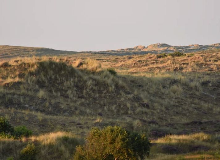 Essecke im Ferienhaus in Oosterend, Terschelling, mit rundem Tisch und Oberlichtern fuer natuerliches Licht.