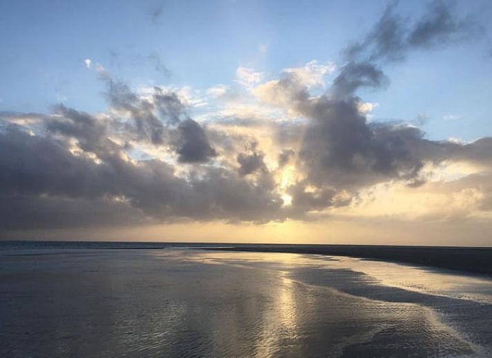 Stilvolles Esszimmer im Ferienhaus in Oosterend auf Terschelling, mit Holztisch und modernen Stuehlen.