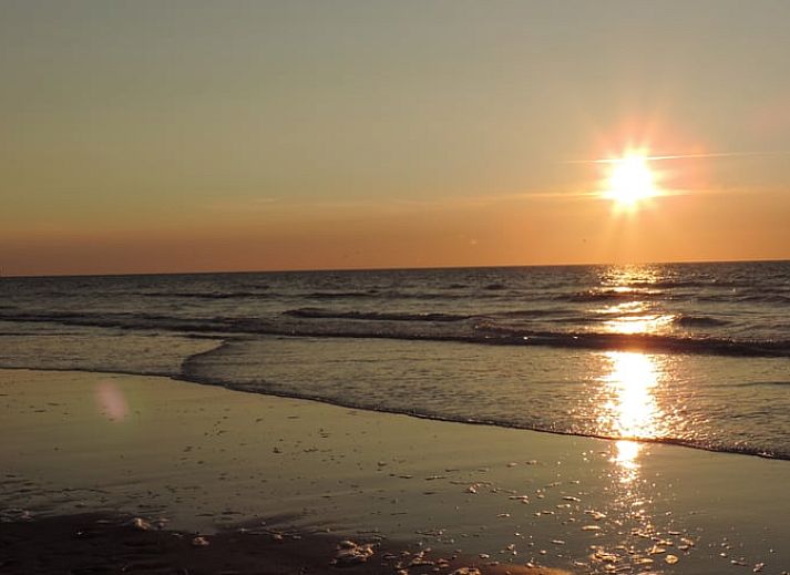 Stilvolles Esszimmer im Ferienhaus in Oosterend auf Terschelling, mit Holztisch und modernen Stuehlen.