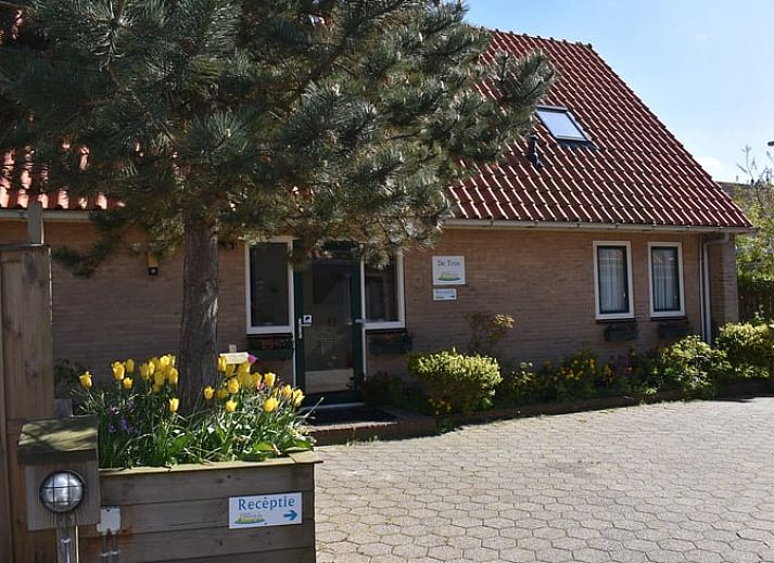 Guest house 031032 • Holiday property Terschelling • Huisje in Oosterend Terschelling 