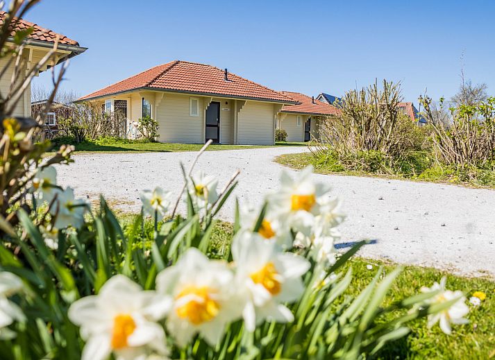 Gemuetliches Schlafzimmer in der Villa Bungalow Whirlpool, Oosterend, Terschelling. Gemuetliches Ferienhaus auf den Watteninseln fuer einen erholsamen Aufenthalt.
