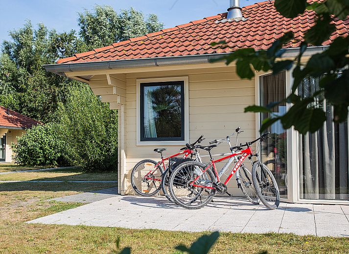 Guest house 031037 - Holiday property Terschelling - Villabungalow houtkachel/ whirlpool