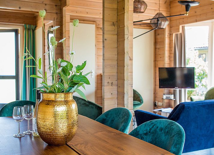 Villabungalow vakantiehuis in Oosterend Terschelling met zonnig terras en groene omgeving.