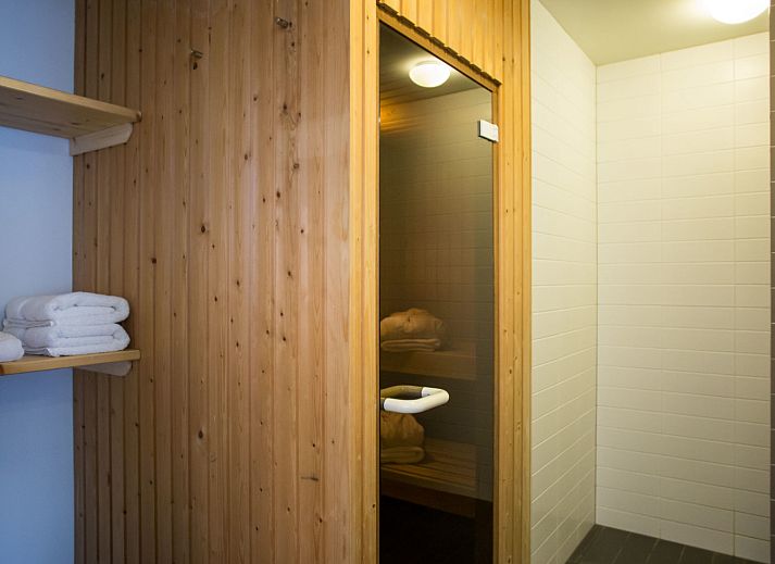 Guest house 031045 - Holiday property Terschelling - Appartement sauna