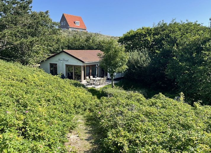 Guest house 031419 • Holiday property Terschelling • De Blauwe Wimpel 