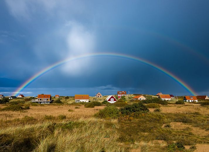 Unterkunft 031423 - Ferienhaus Terschelling - Apenstaartje
