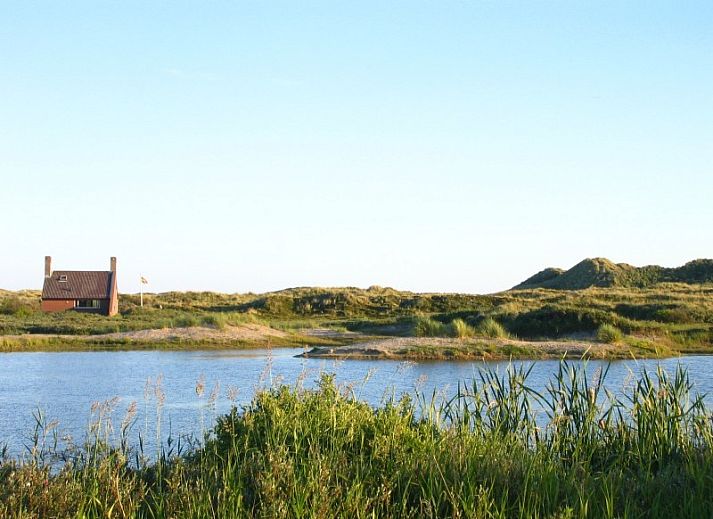 Unterkunft 031425 - Ferienhaus Terschelling - De Helmhoeve