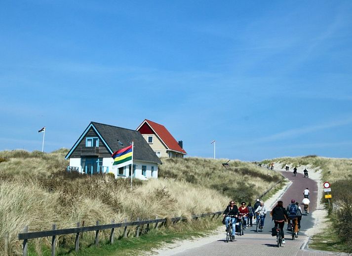 Verblijf 031426 - Vakantiewoning Terschelling - De Branding